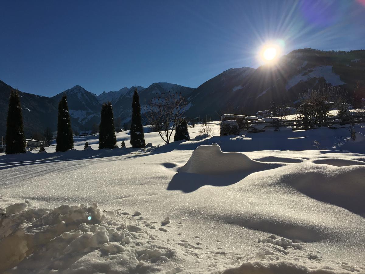 Castelli Apartment Schladming